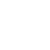 NEC icon