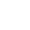 duplex icon