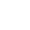 portable icon
